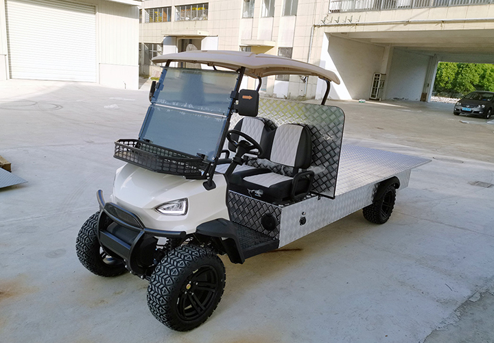 9 Units Electric Golf Cart Ready To Be Sent To Israel